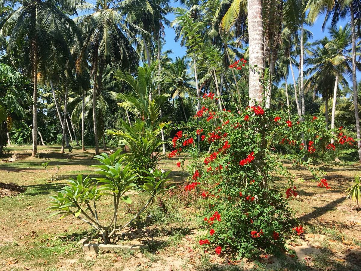 Anuhas Airport Villas Katunayaka Buitenkant foto
