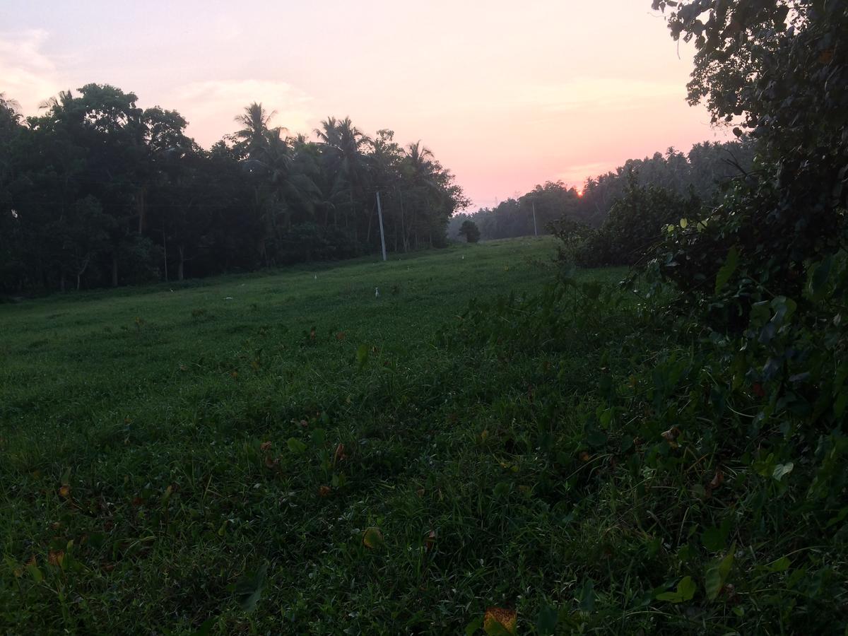 Anuhas Airport Villas Katunayaka Buitenkant foto