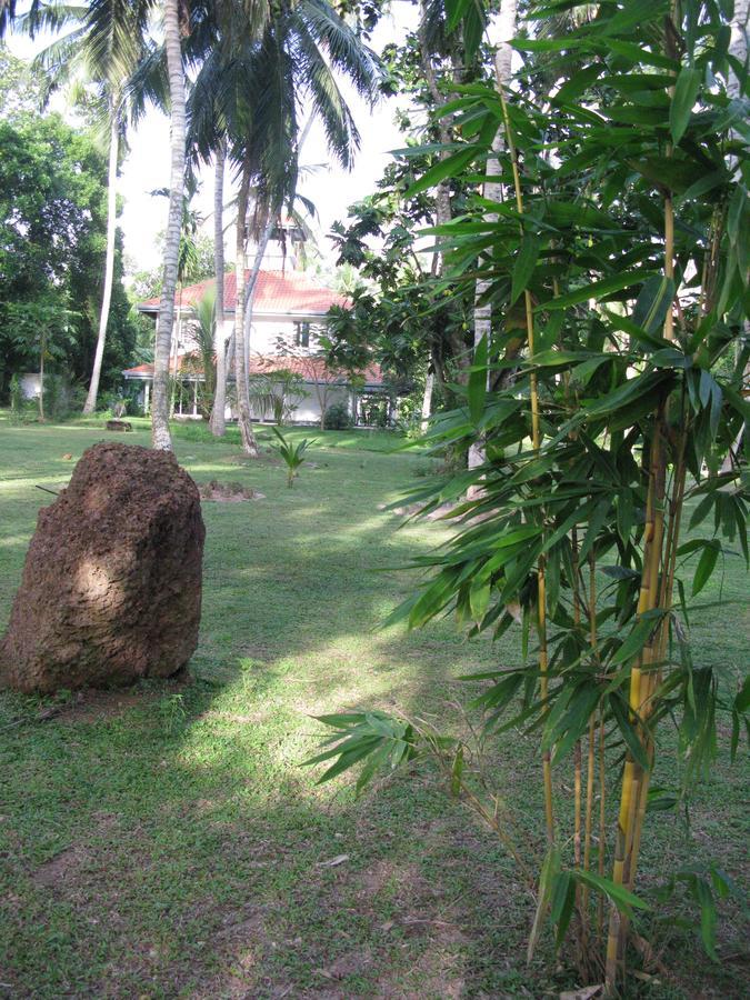 Anuhas Airport Villas Katunayaka Buitenkant foto