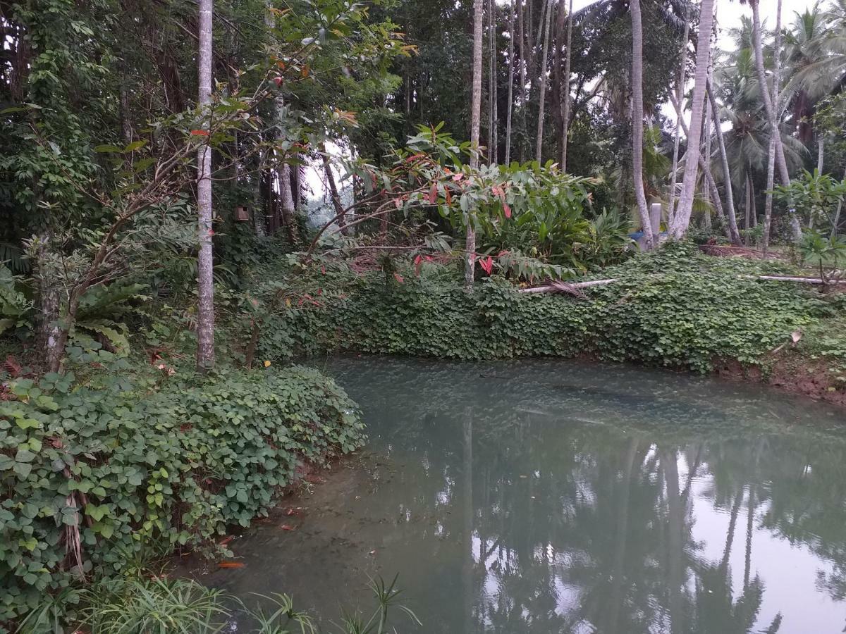 Anuhas Airport Villas Katunayaka Buitenkant foto